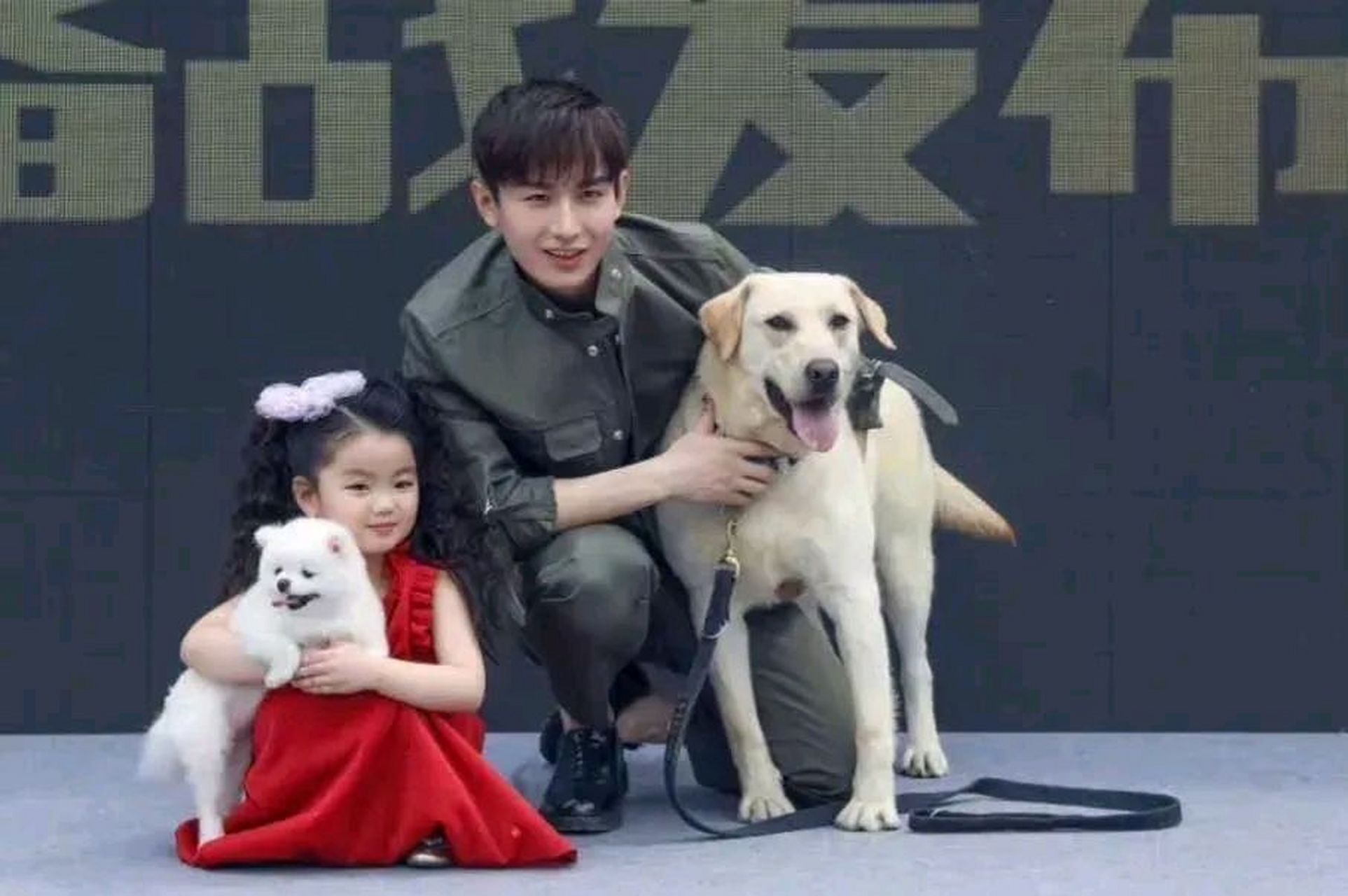 成毅和阿拉蕾罕见同框,两个都很可爱,一起抱走吧.