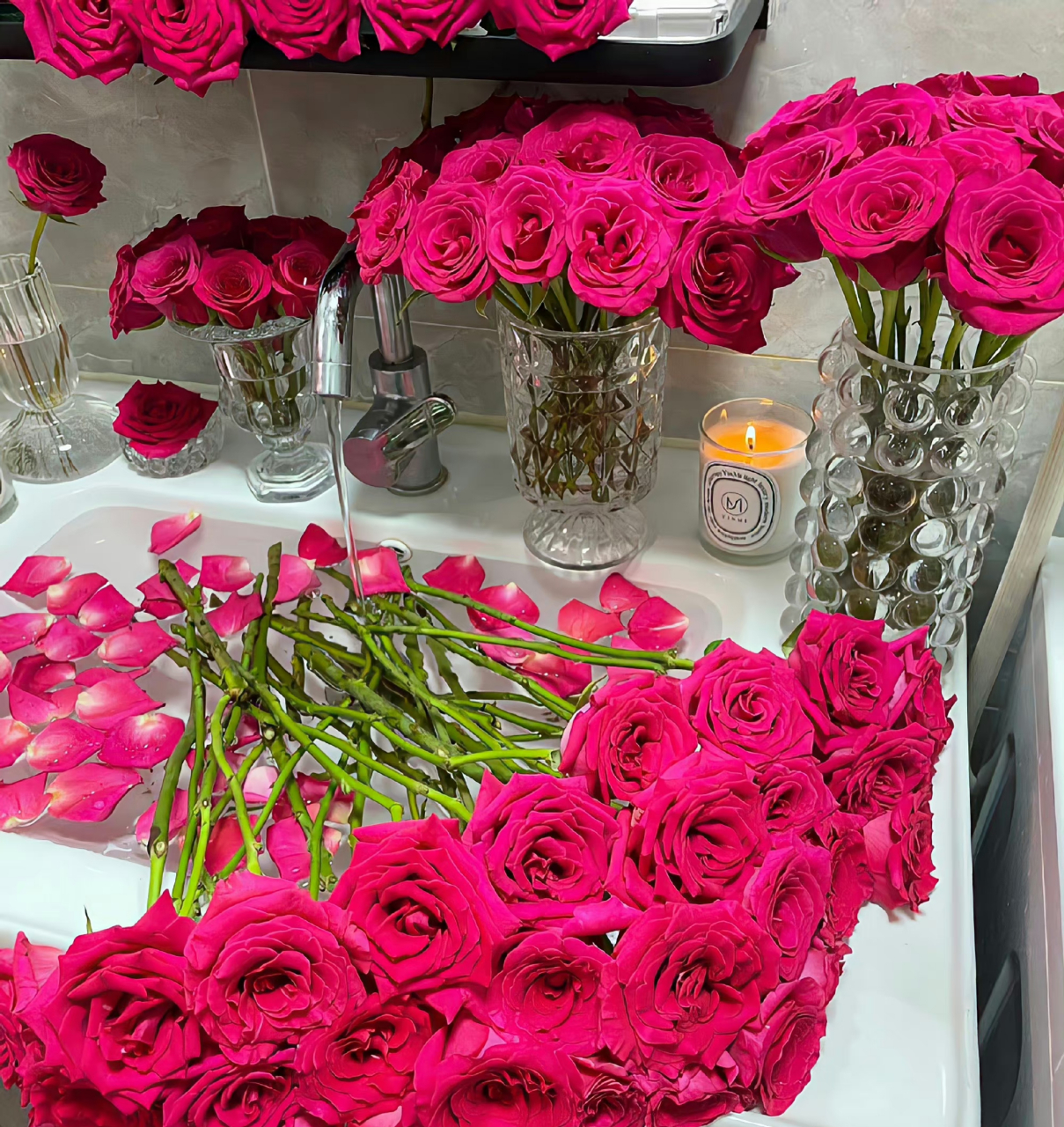 弗洛伊德玫瑰 ,春有盼望和辉煌,夏有火红和热情,秋有金黄和成熟,冬有