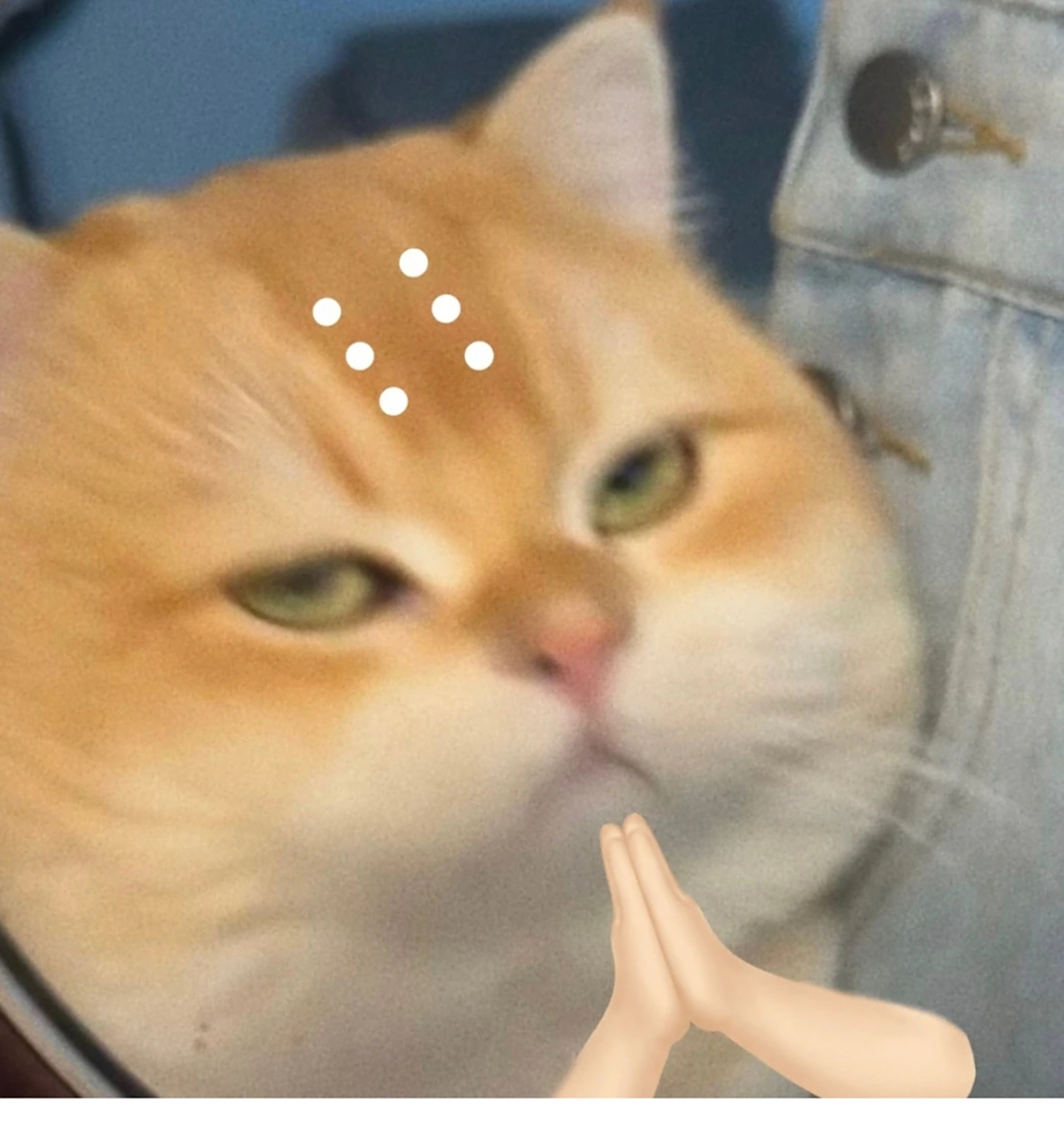 看看谁还没有小猫刀人的表情包哈哈