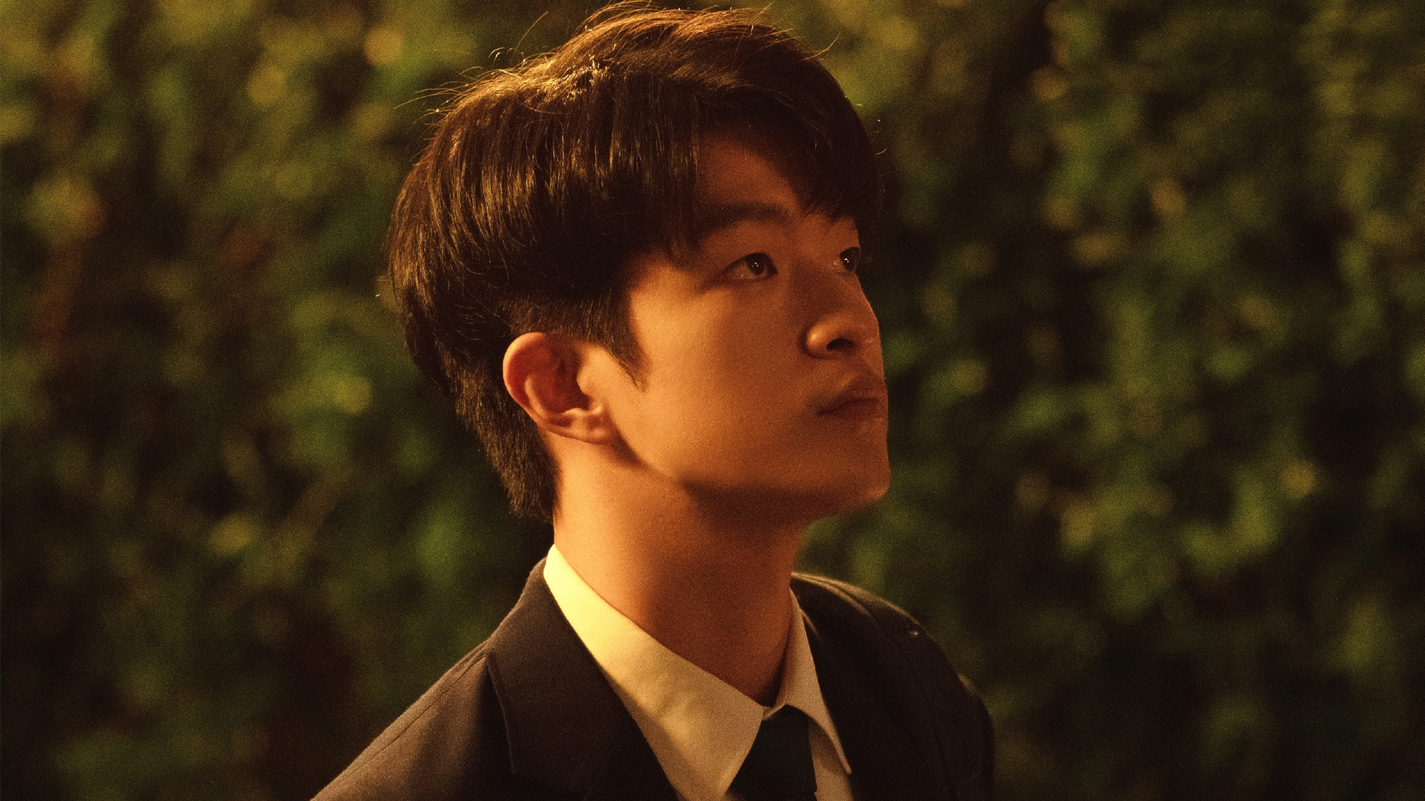 《一闪一闪亮星星》令人动容的结局