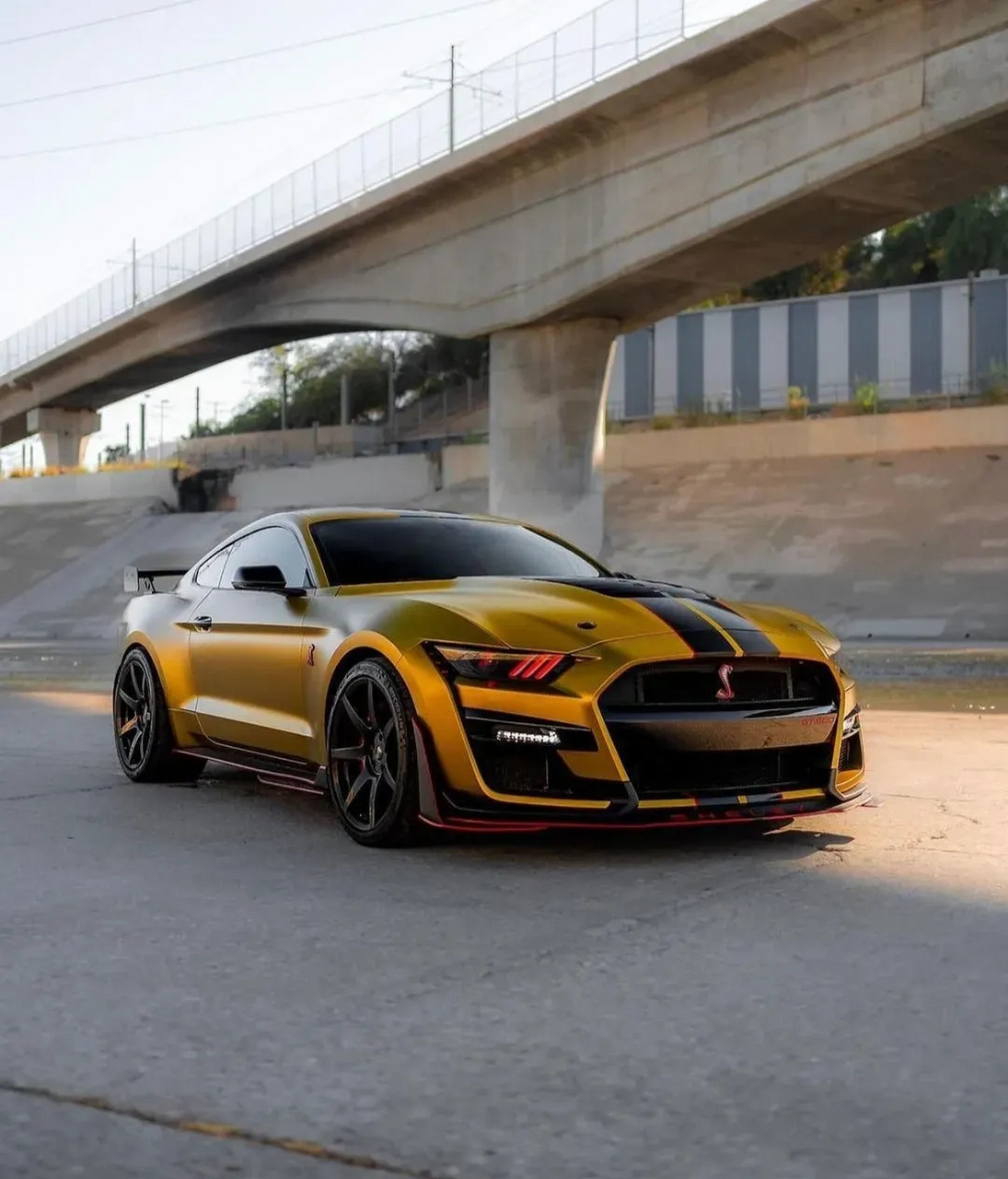 谢尔比-gt500 谢尔比shelby gt500车型的实拍图,新车也可视为谢尔比