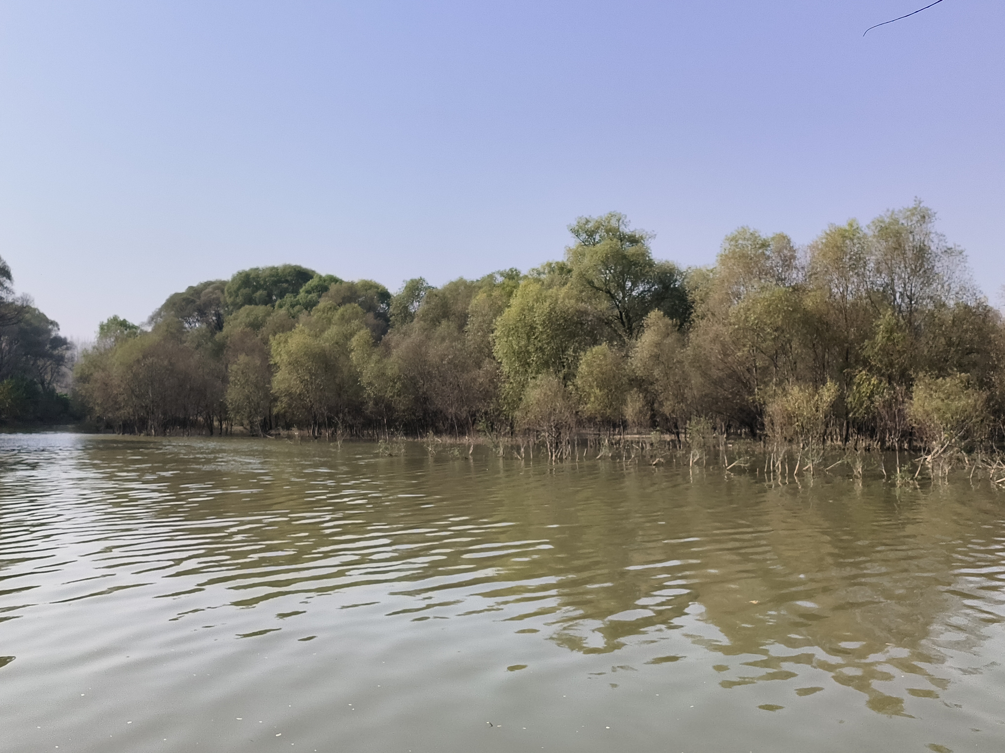 邢台市八一水库,又名羊卧湾水库,玉泉湖,位于信都区皇寺镇东羊卧村西