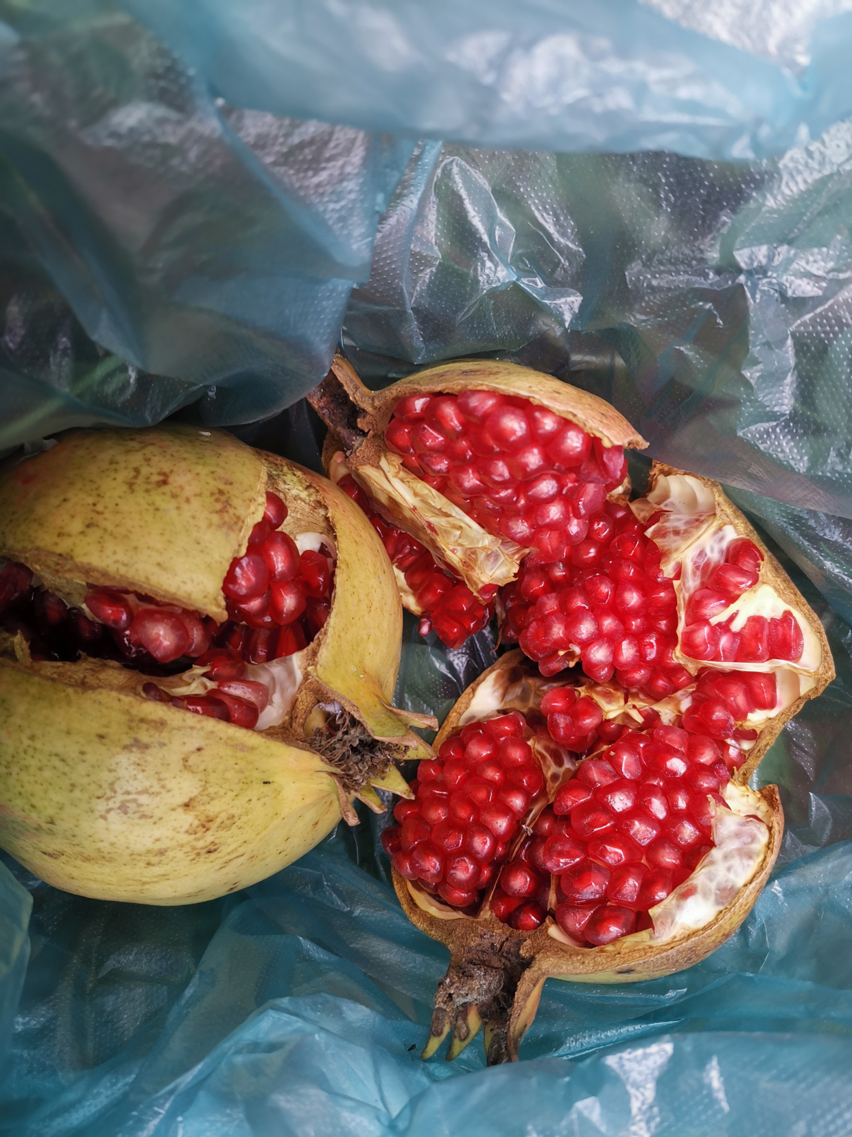 无籽石榴,马上就吃完了,太好吃了,有爱吃的吗