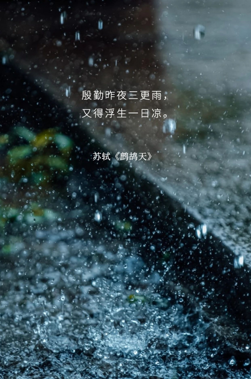 殷勤昨夜三更雨 又得浮生一日凉.