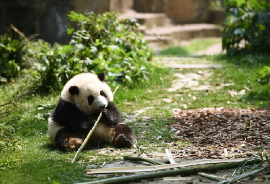 花花洗澡全国人民都知道了