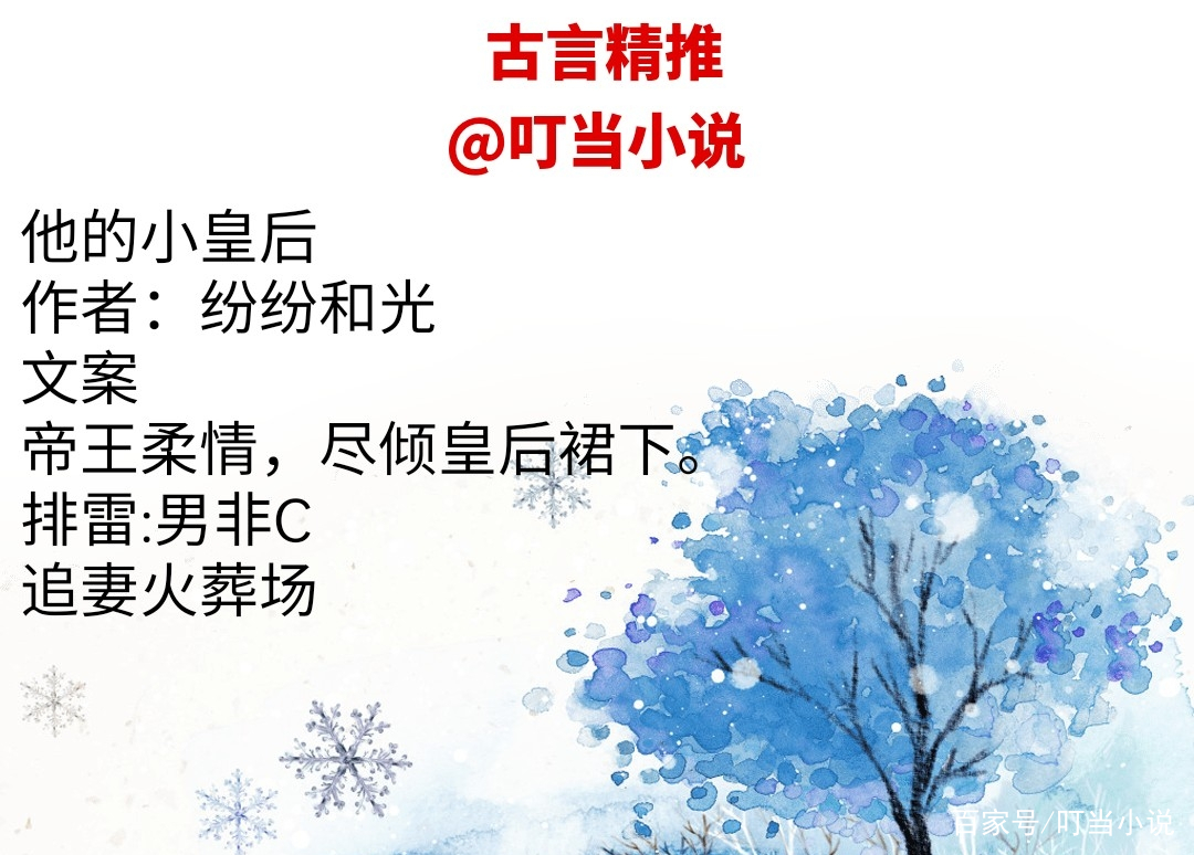他的小皇后小说