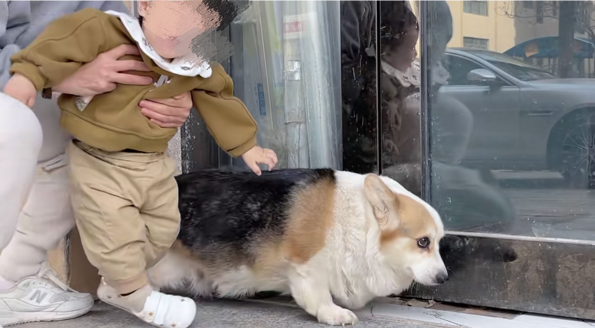 柯基:虽然叫我板凳,我也不是真板凳,赶紧低速四驱闪[偷笑]