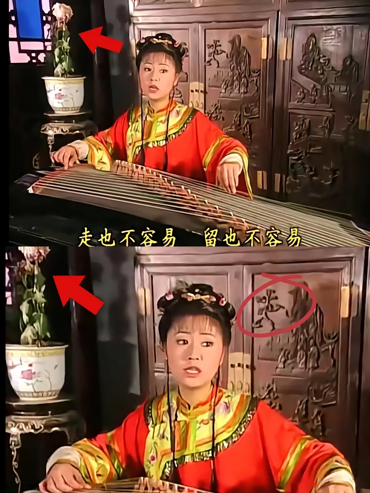 我不是第一个发现的吧紫薇在尔康家里住的这段时间,紫薇屋里的菊花