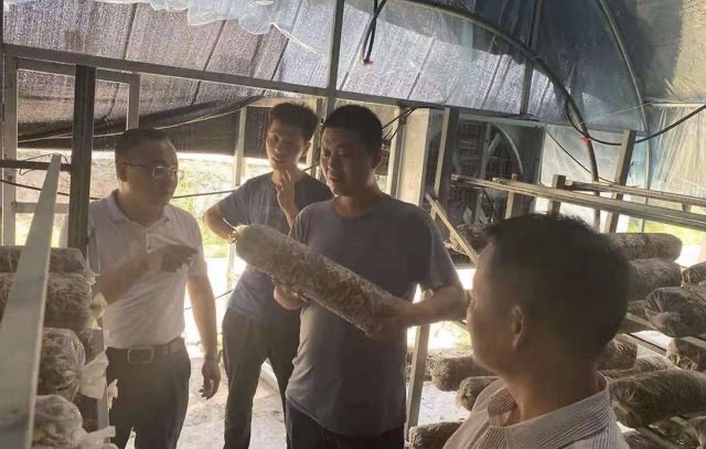 渭南:蒲城县乡村振兴工作督查组检查高阳镇乡村振兴工作