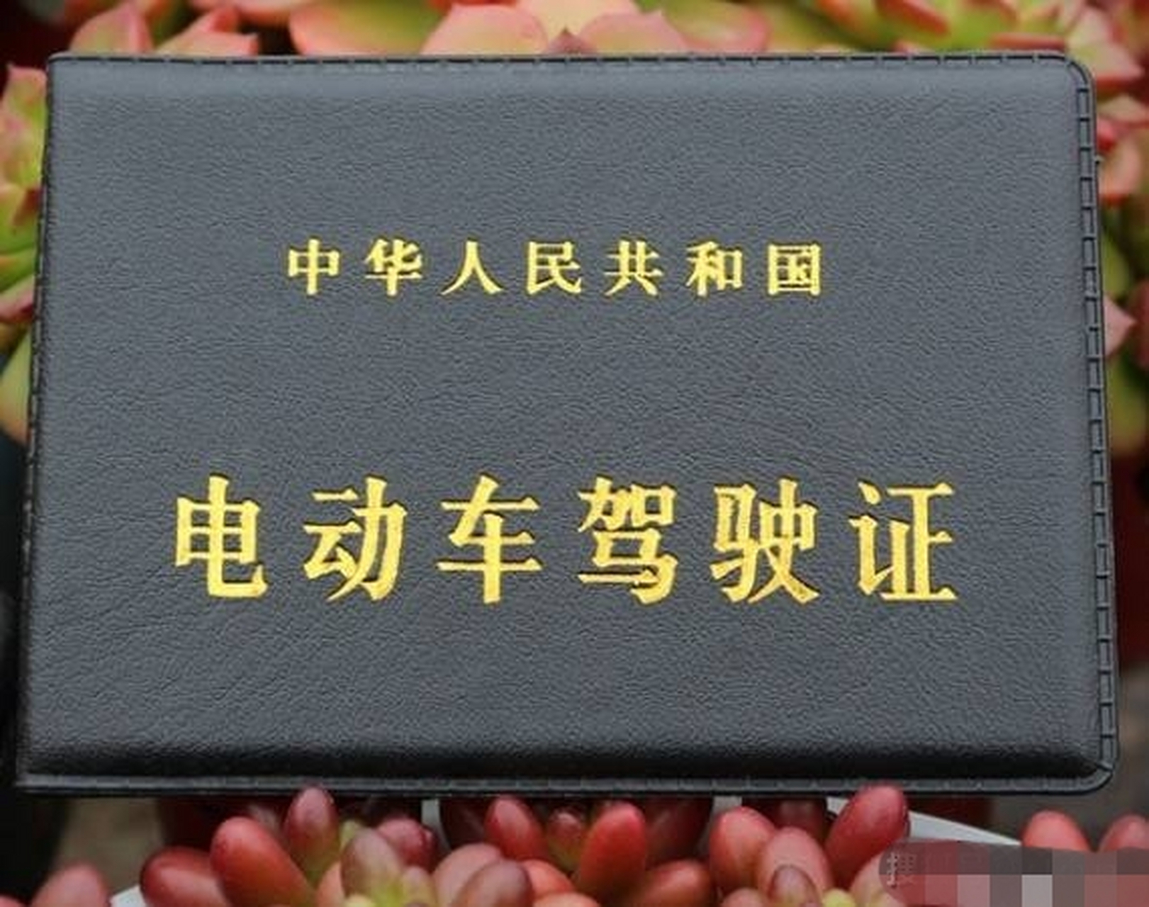 无证开电瓶车要罚款不止,还要拘留,电瓶车要考证才能上路了,而且考个