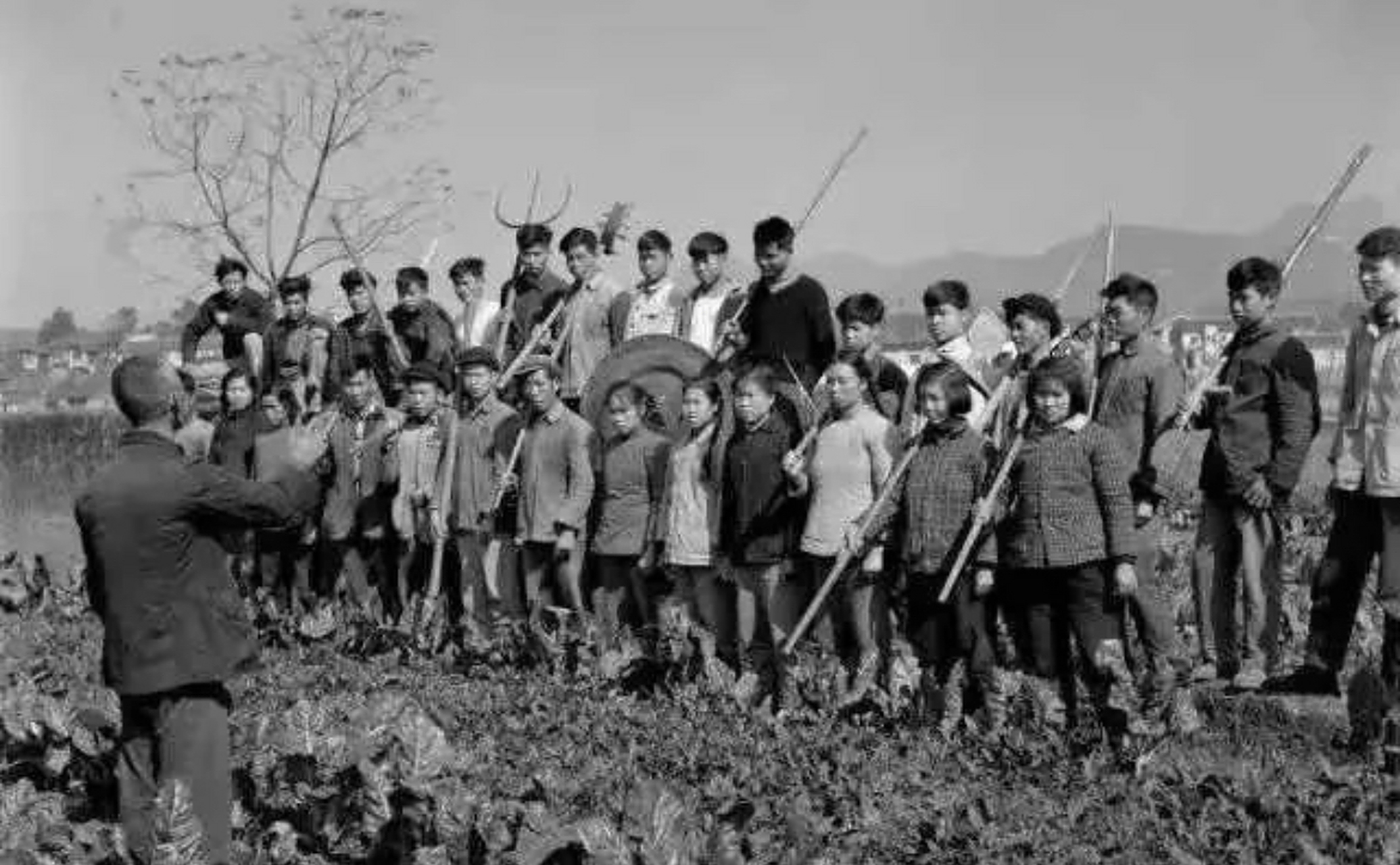 这张照片展示了我国上个世纪70年代农村生产队的生产景象.