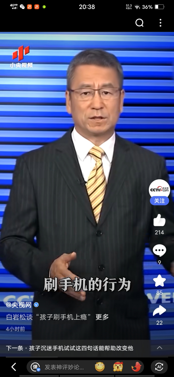 白岩松谈"孩子刷手机上瘾"