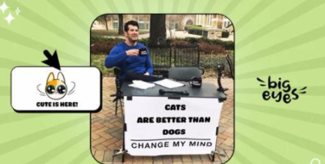 当 dogelon mars 反弹时,shiba inu暴跌