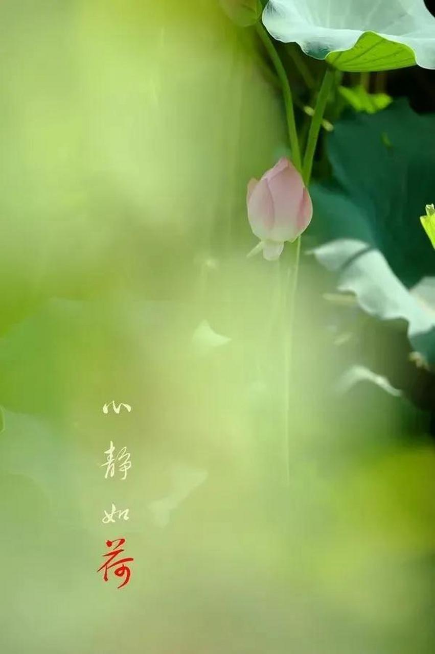 《微习惯》一书的作者斯蒂芬·盖斯为了养成好习惯,要求自己每天只做