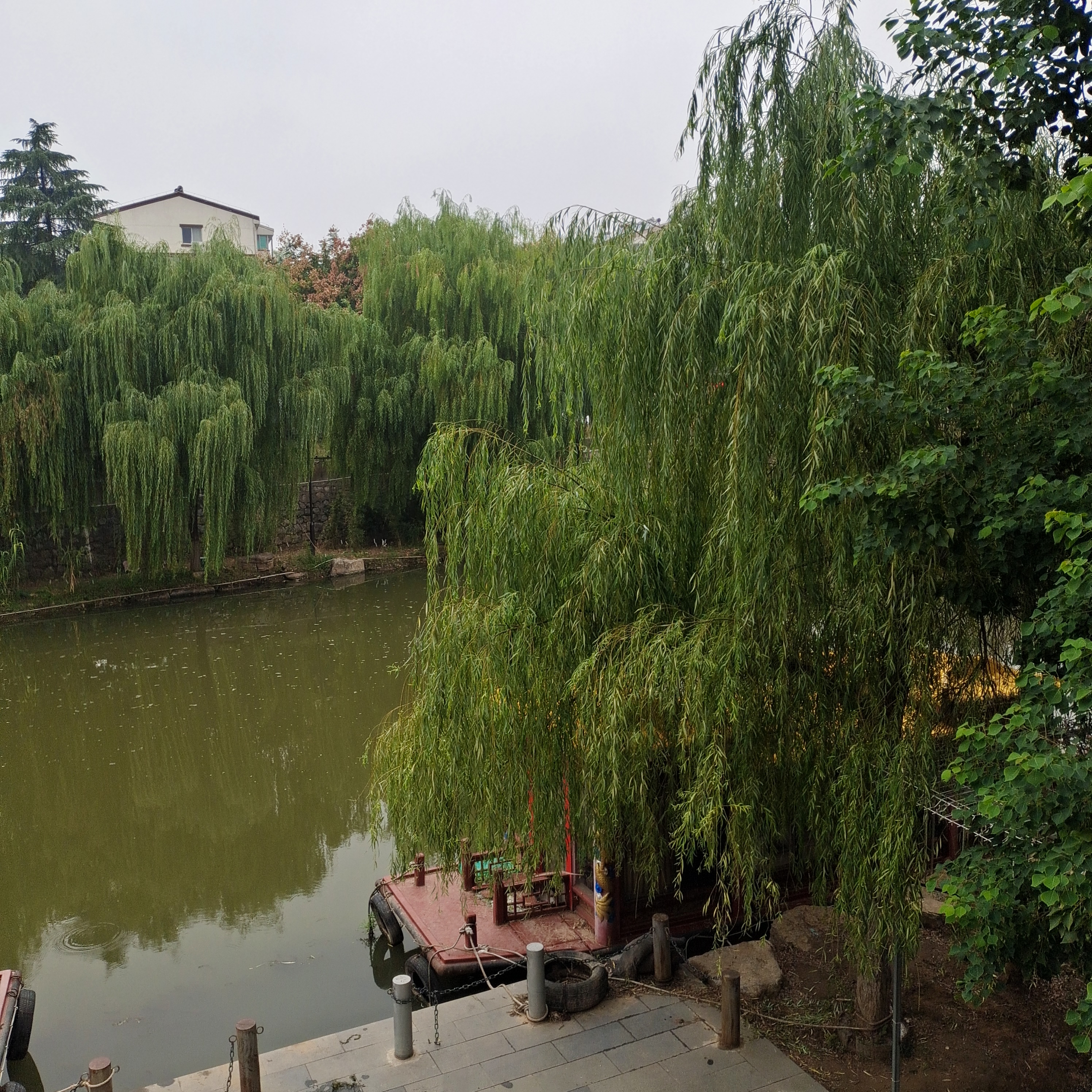 铜驼暮雨图片图片