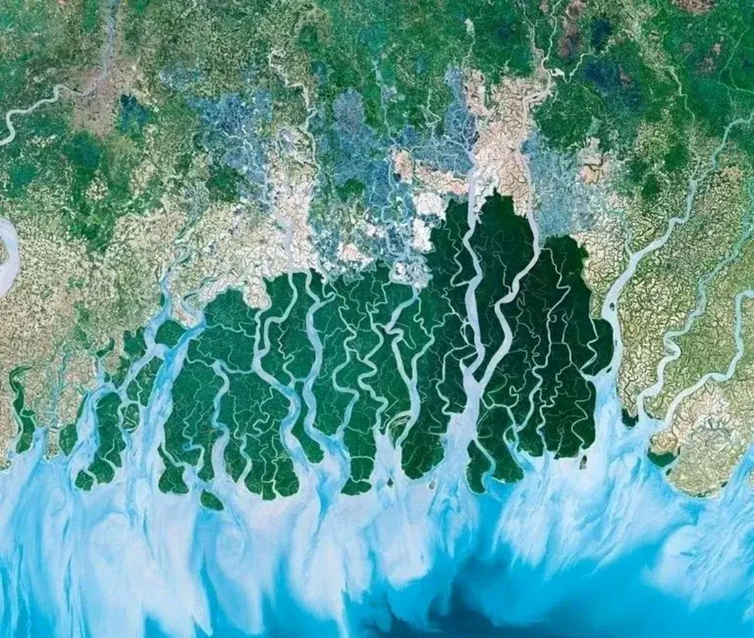 恒河三角洲是世界最大三角洲,面积6.5万平方公里,地跨孟加拉国和印度.