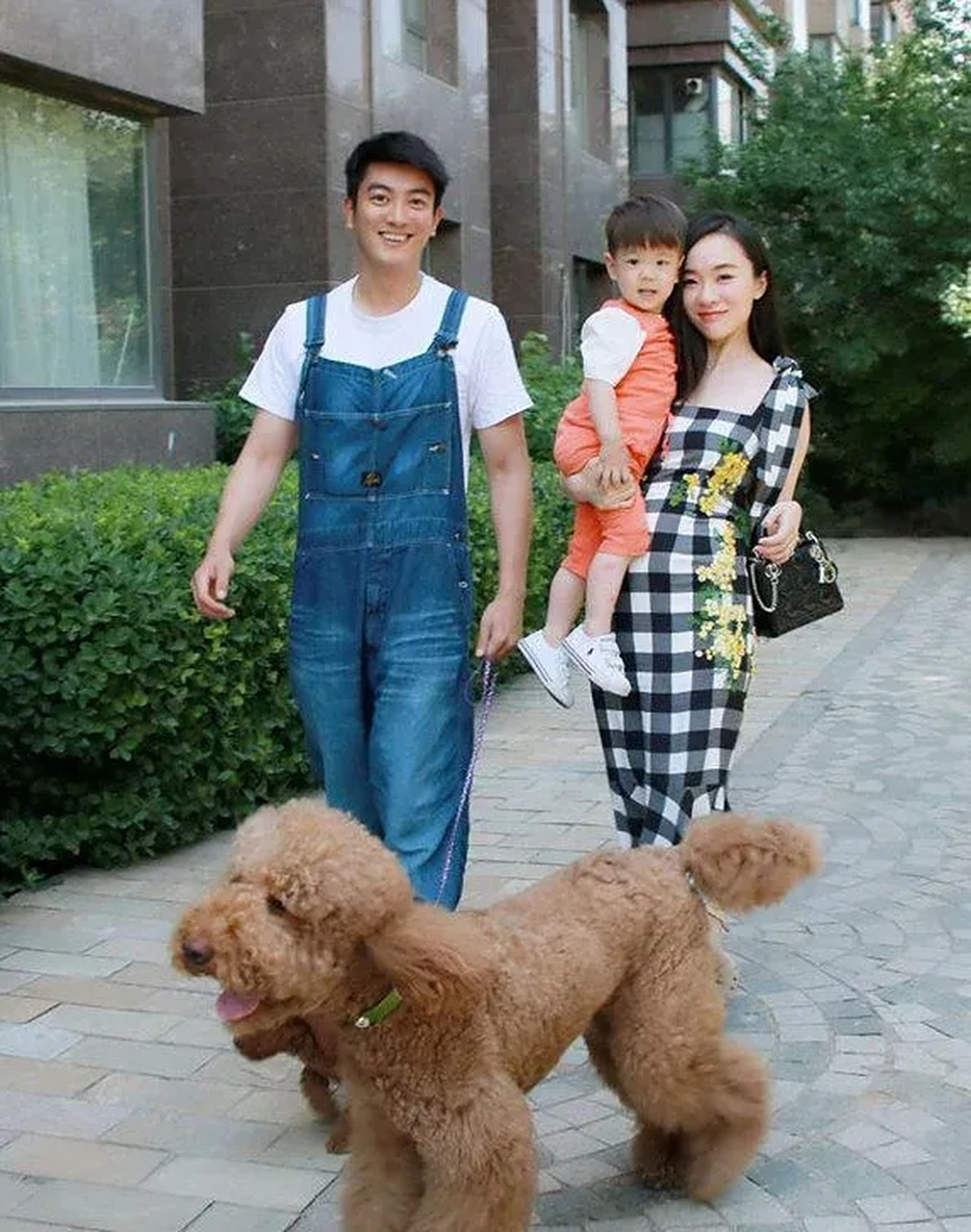 霍思燕的儿子可以无忧无虑的生活在任何场景里,包括上节目,但是她的