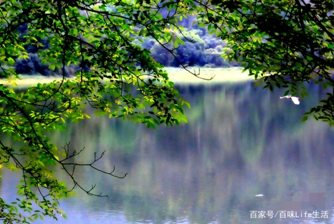 "山光悦鸟性,潭影空人心.在古诗里邂逅四月最美清欢