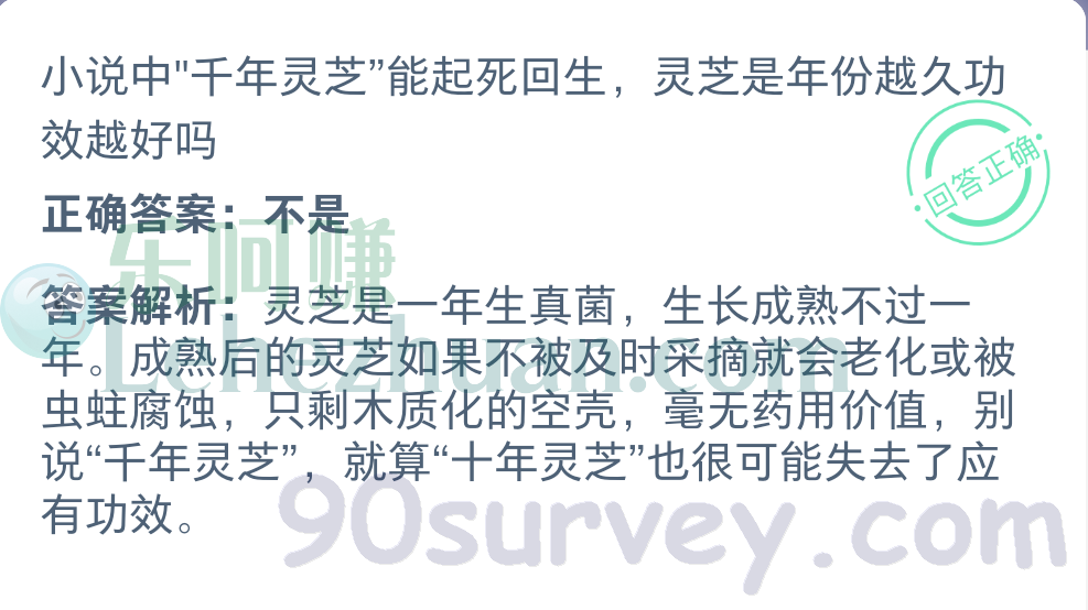 小说中