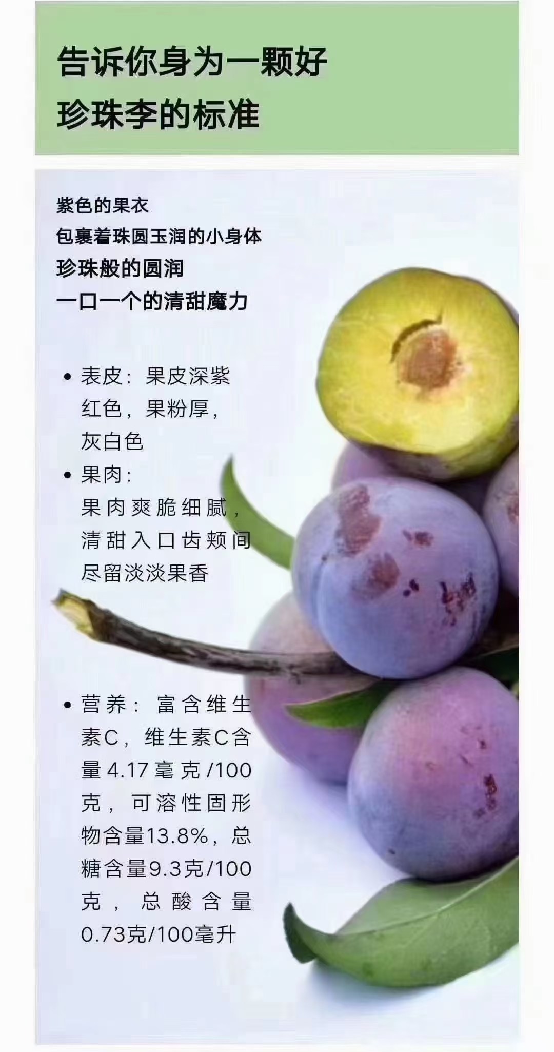 广西河池天峨县珍珠李成熟了,顺丰包邮到家