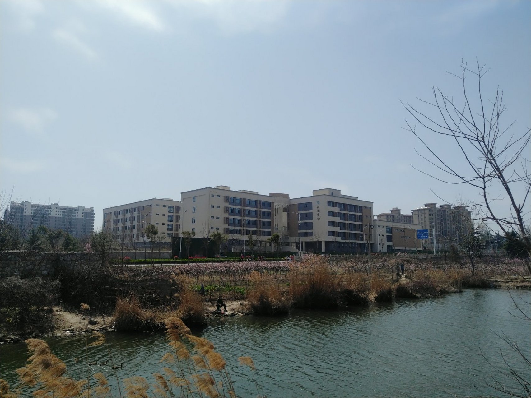 徐州樹德中學的新校園基本已經建好了,校園對面的桃花,油菜花開得很