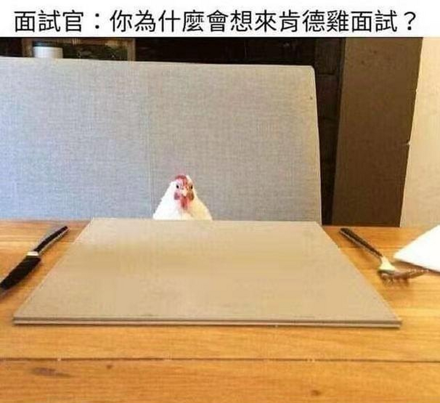 鸡哥别冲动啊