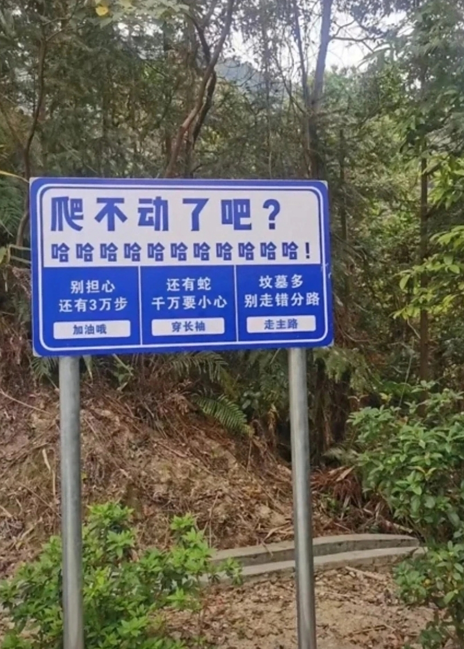 不知道看到这样奇葩的路牌,有何感想?