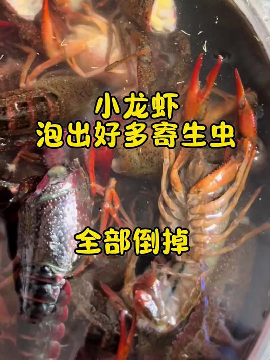中午搞了三斤小龙虾,洗着洗着发现好多寄生虫啊,这谁敢吃啊