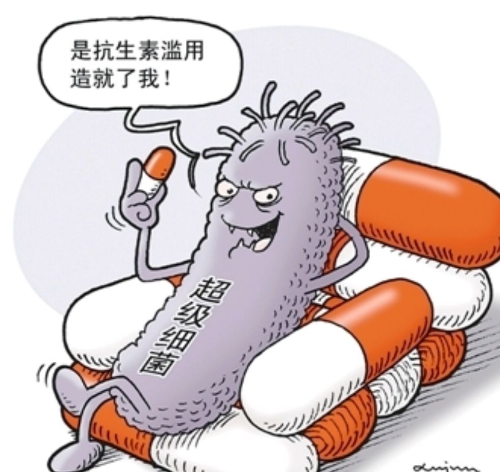 童话:定植菌与抗生素的对话