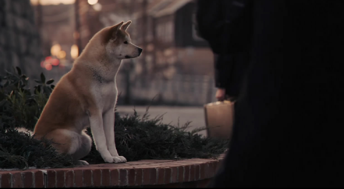 中国版《忠犬八公的故事》定档:冯小刚,陈冲主演,温情得以延续