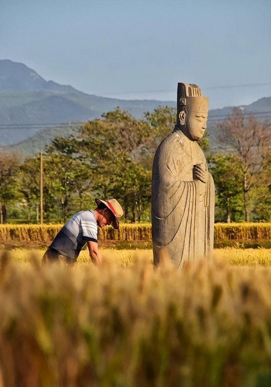 北宋帝陵图片