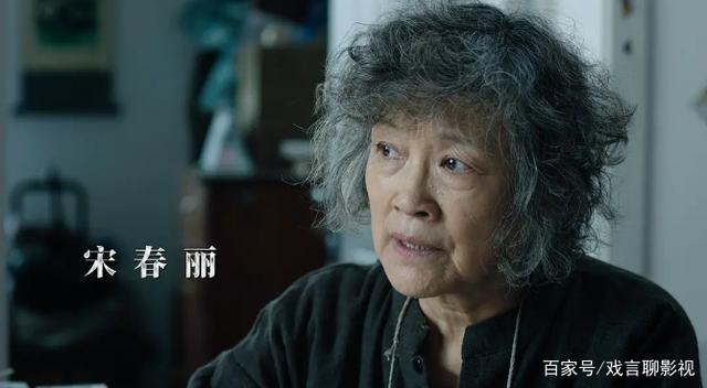 ⭐电视剧⭐巡回检察组百度云网盘【全43集】资源完整版插图