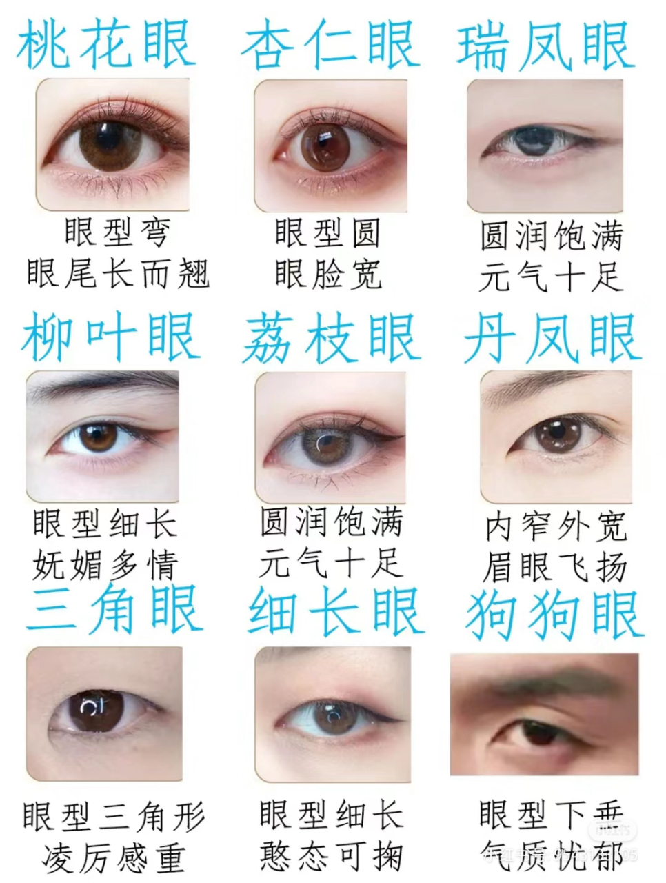你属于哪一种眼型?一图告诉你