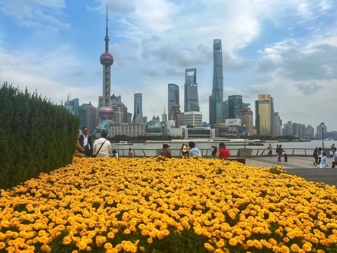 秋天风景中的上海外滩