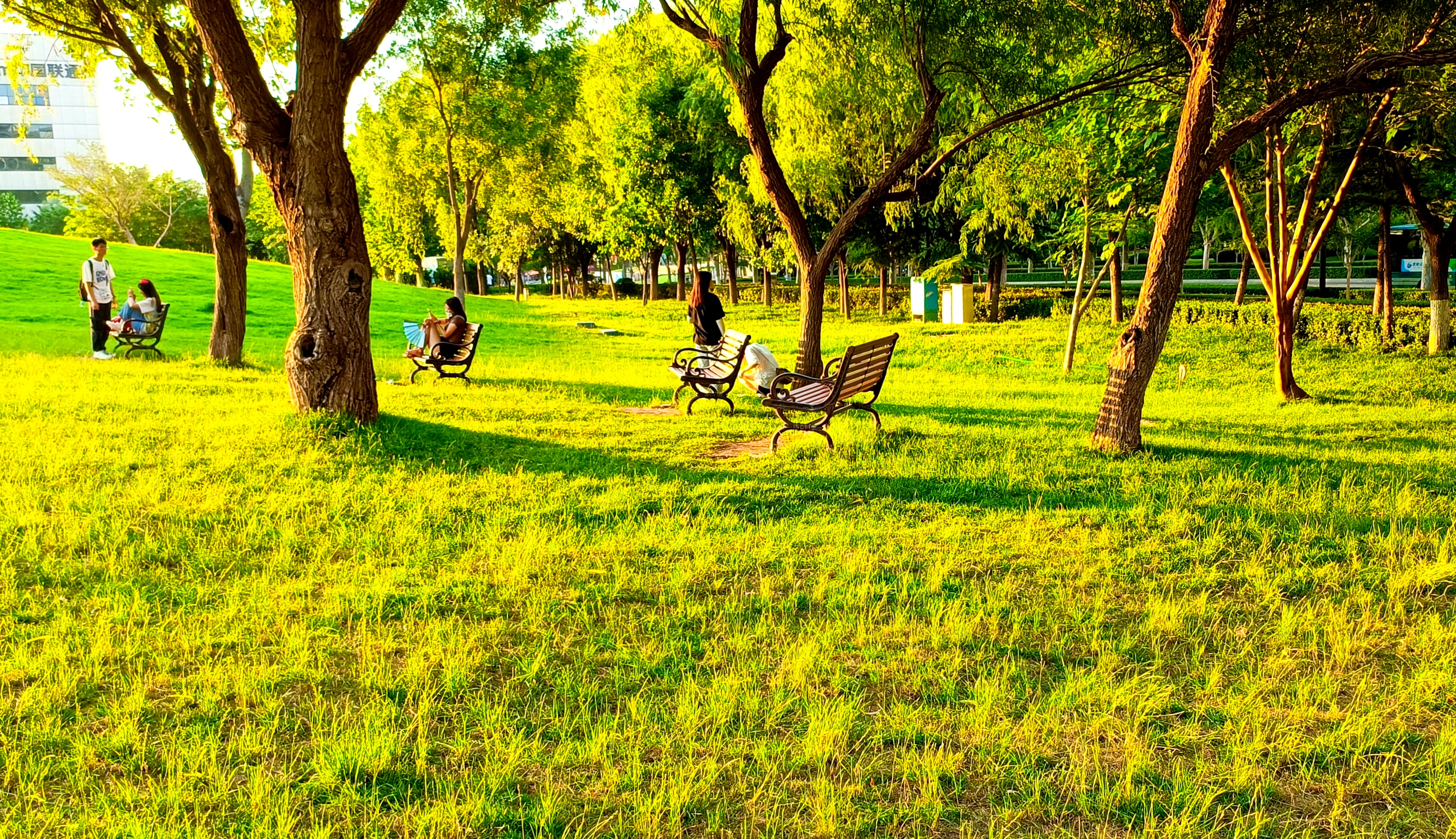 济南,高新区大草原,夏日傍晚的绝美景色