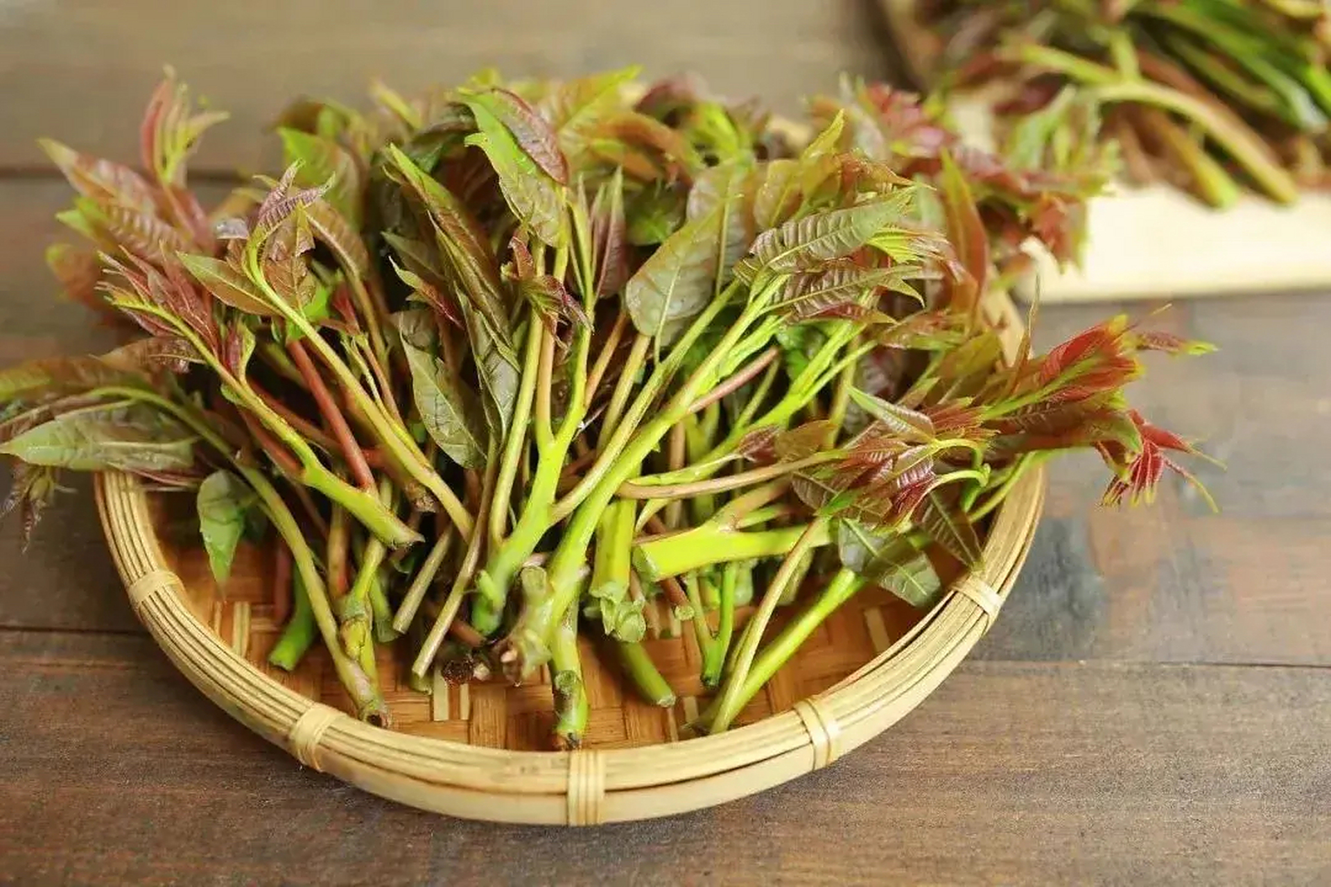 6种可以吃的树叶, 最后一种是初春美味:  1,枸杞叶  2,槐树叶  3,桑叶