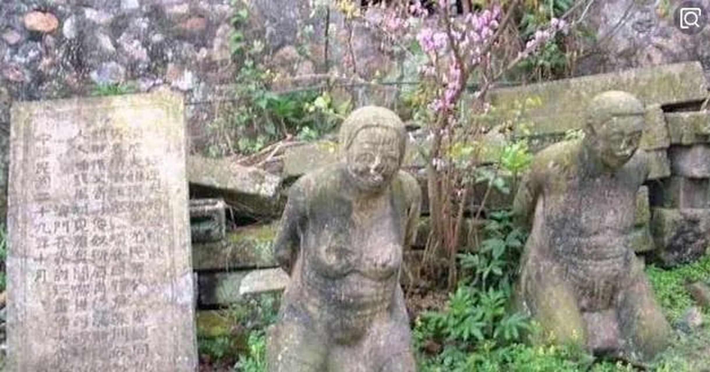 汪精卫的最小儿子汪文悌,晚年从香港回大陆祭拜父亲汪精卫,当汪文悌