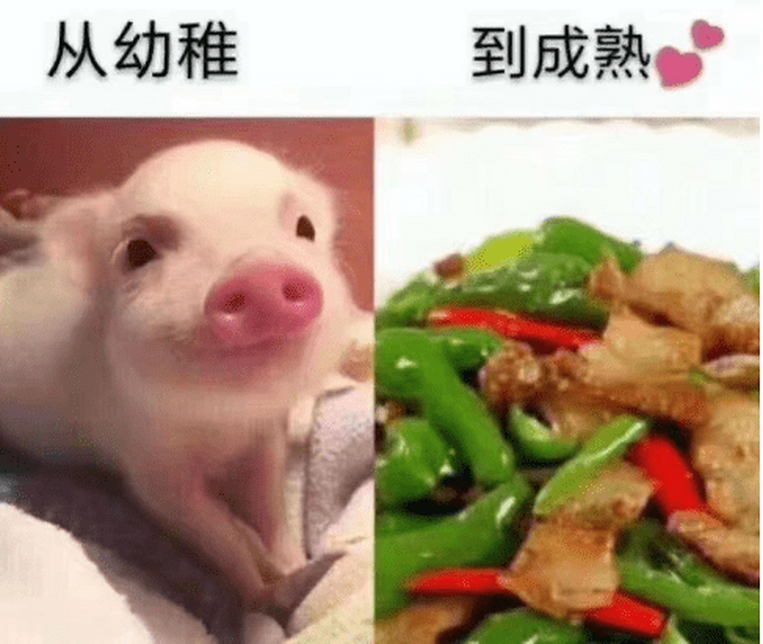 爸爸给我说结婚以后就会从幼稚走向成熟,等我结婚以后才明白,原来所谓