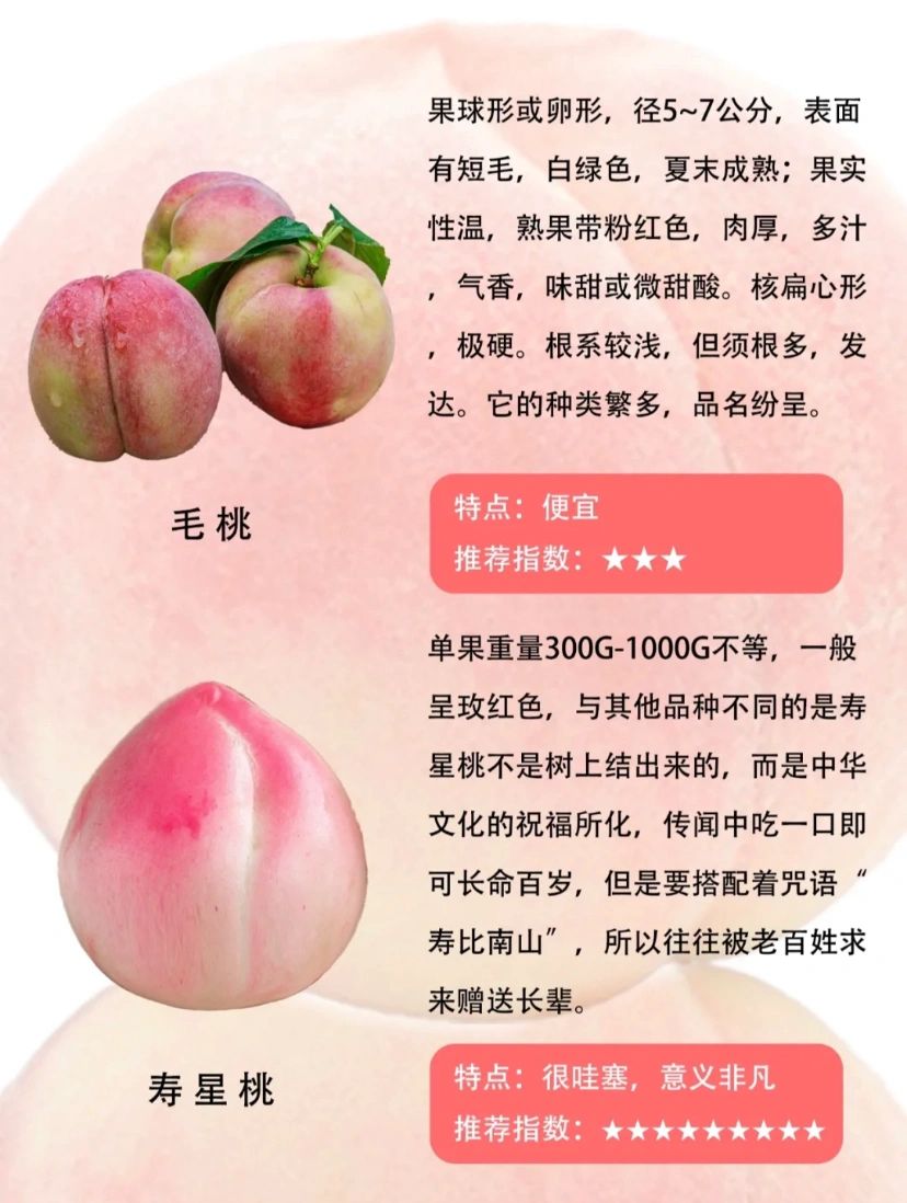 桃子的这些种类你都知道吗?(一)
