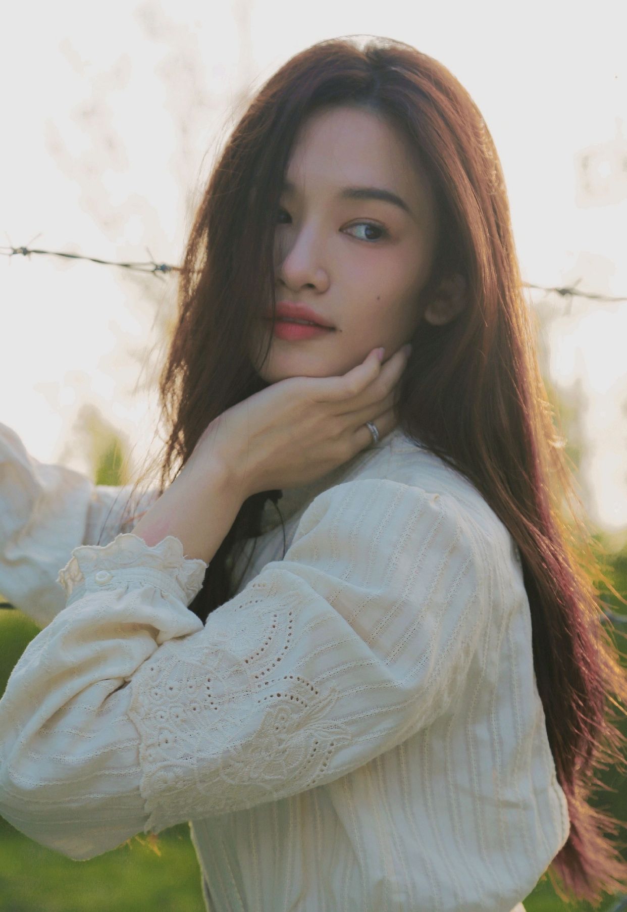 明星写真美图|张柏嘉