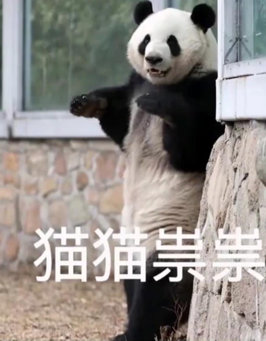 你们要的萌兰表情包来啦