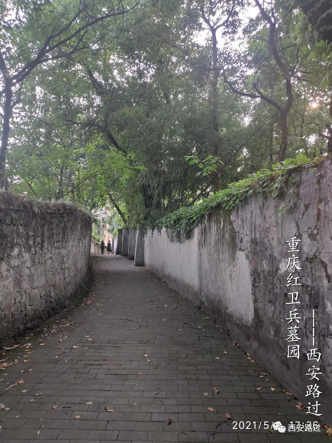 重庆红卫兵墓园