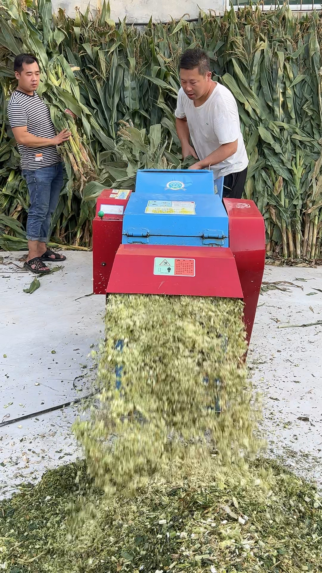 干湿两用 6.8型铡草揉丝一体机