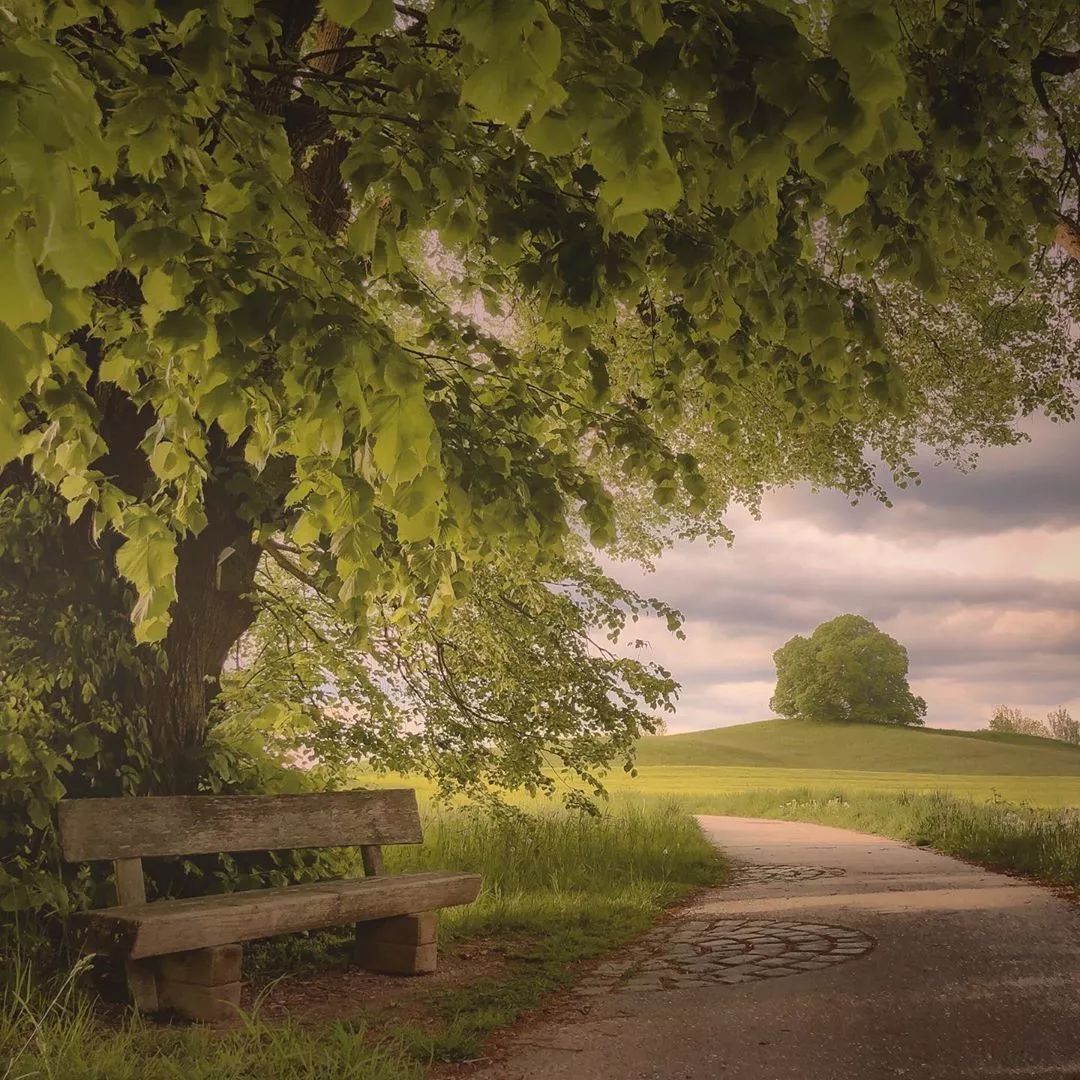 唯美生活图片分享