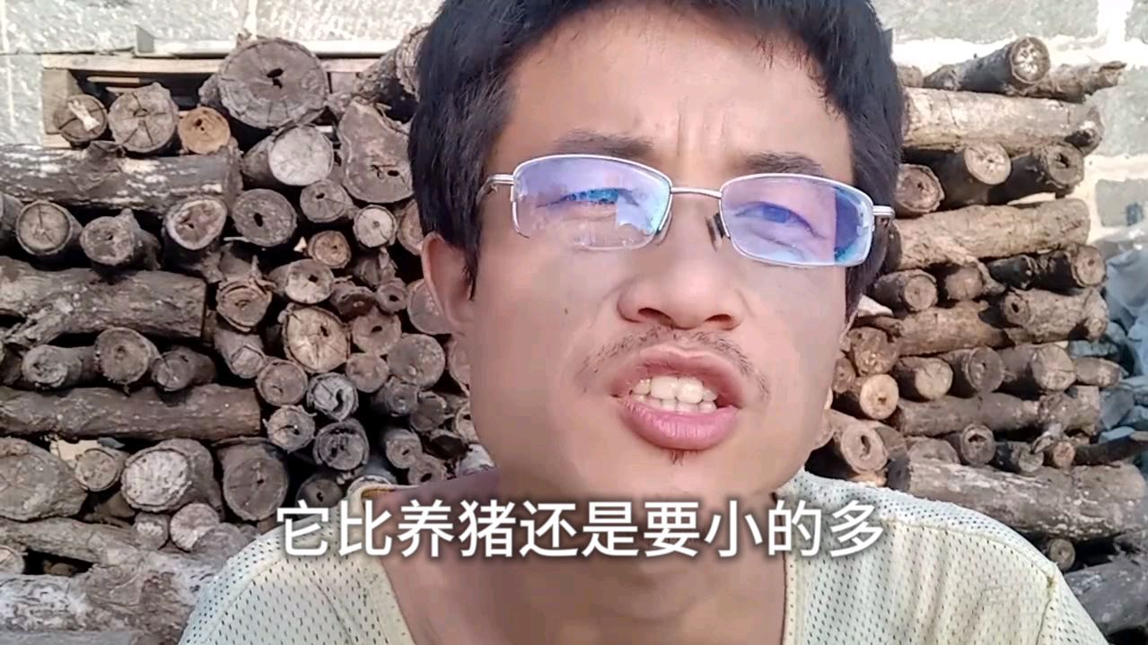 山区农民搞养殖养点什么好,养猪牛羊还是鸡鸭鹅,利弊分析