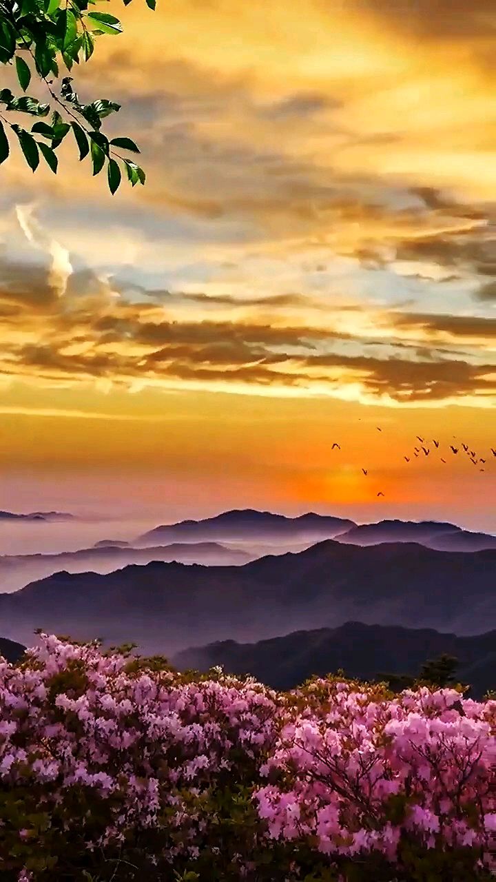 山河锦绣大好河山