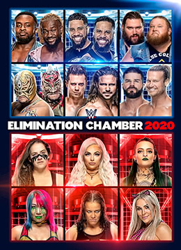 WWE：铁笼密室2020