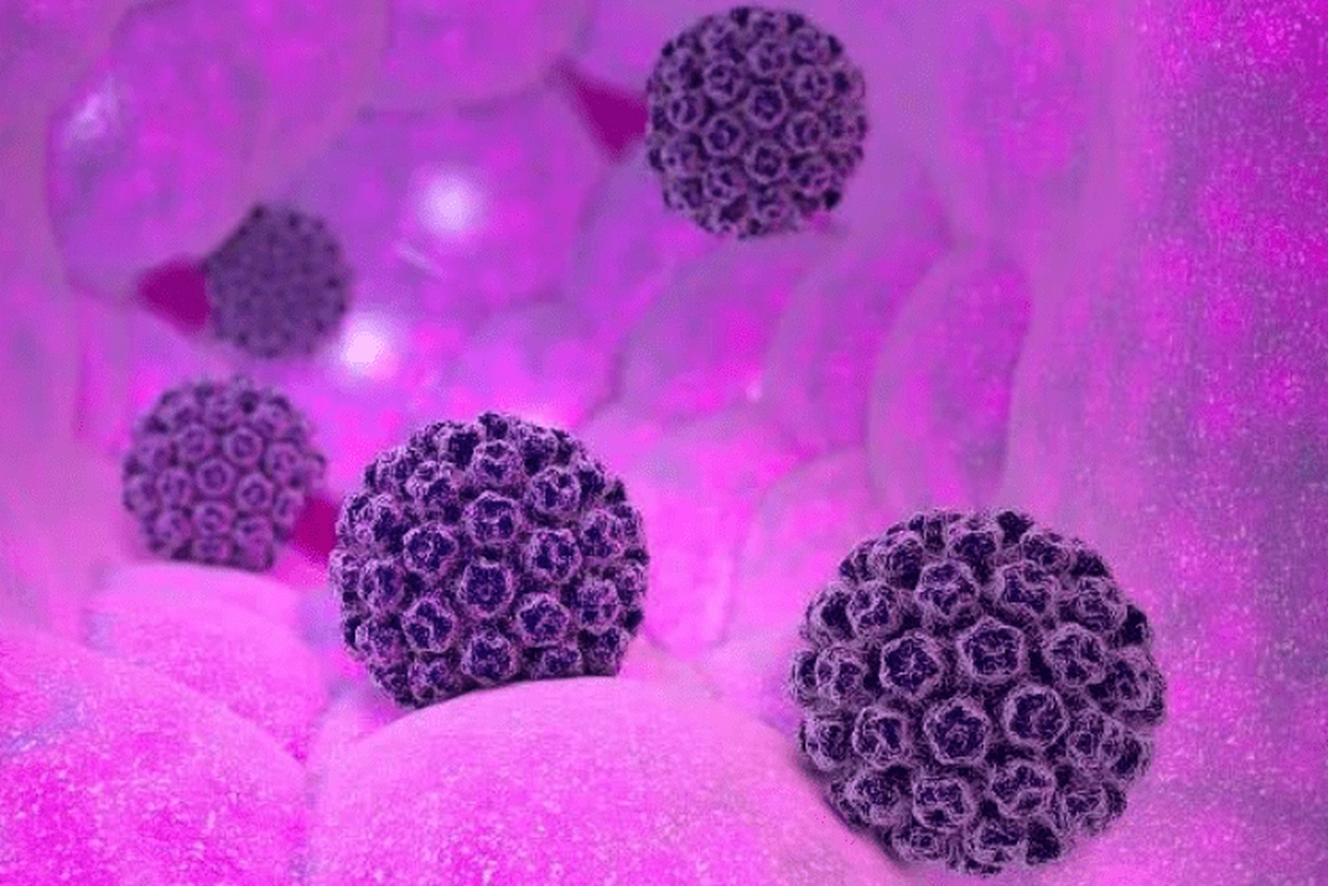 hpv病毒会导致哪些疾病?