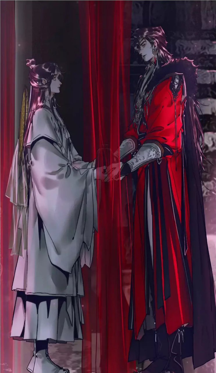 别管他,我们继续#花城谢怜# #天官赐福
