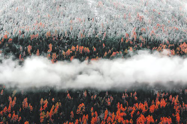 时间煮雨吉他谱（如何弹奏《时间煮雨》的吉他谱）